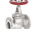 Water Oil Api 6d Gas Globe Valve Ductile Iron Cast Iron 316l Stainless Steel Flange